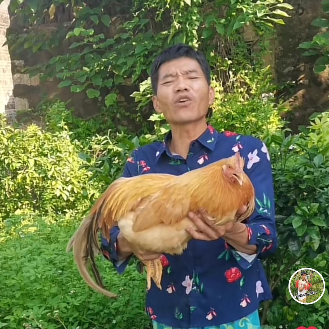 广西码王