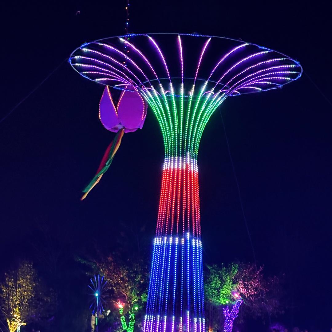 香烟不解人生苦