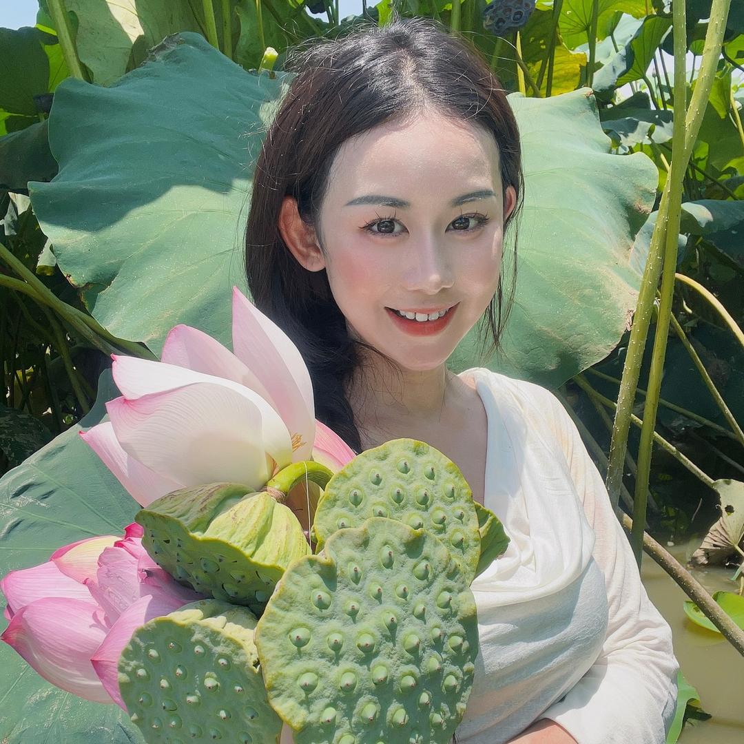 小荷花外塘甲鱼苗