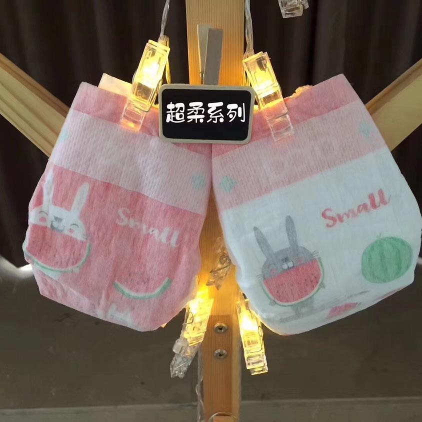 洋洋和三宝
