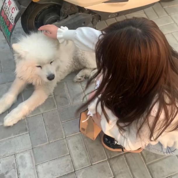 睡个好觉'