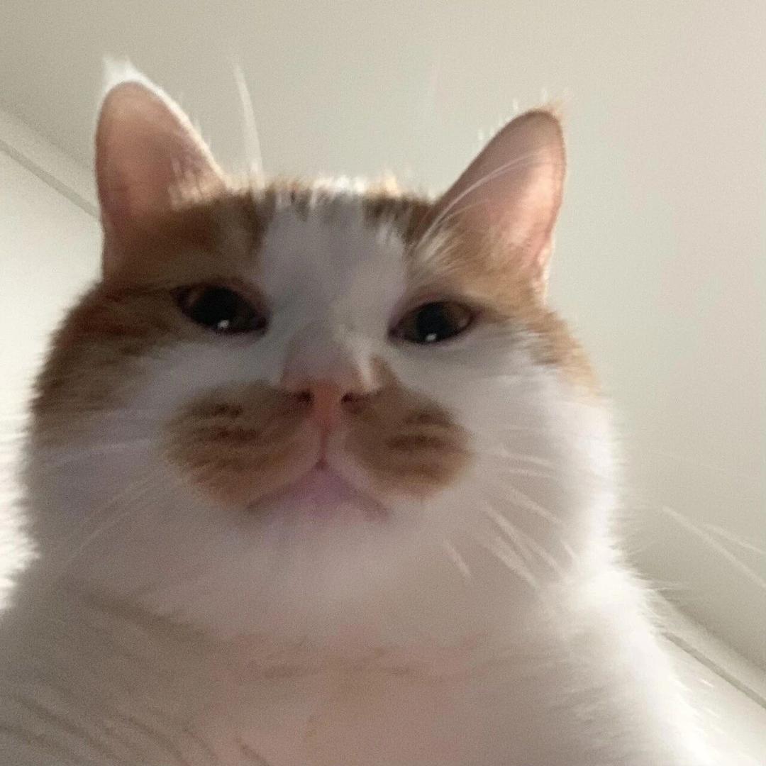 DaY