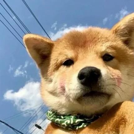 财神爷的小肥杨👻