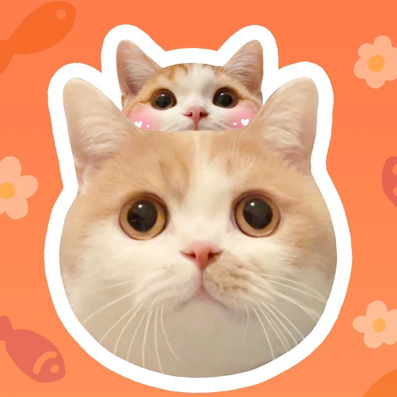 矮脚虎凸凸@抖音