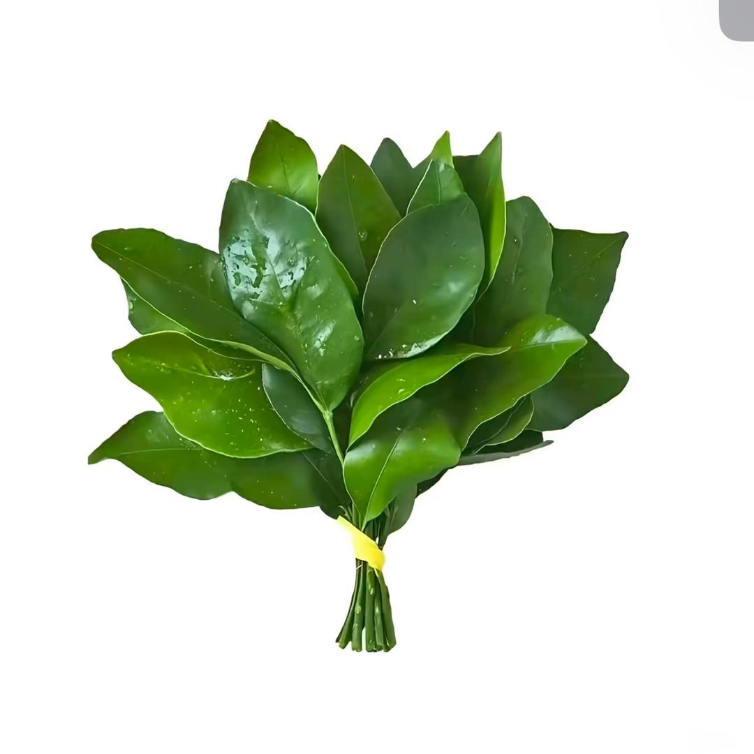 盛世美诚纤(小谢）
