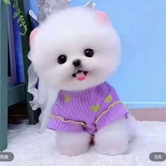 爺佬四
