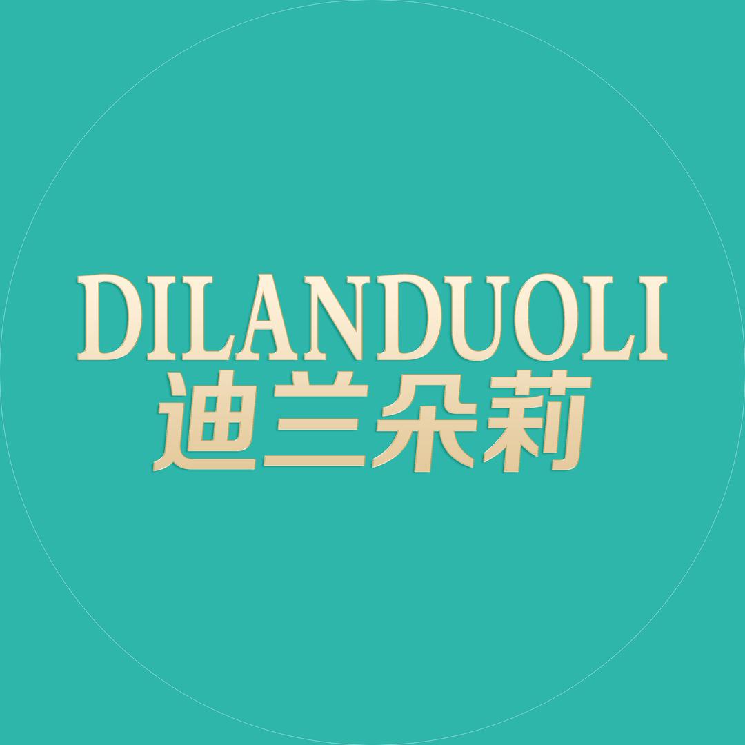 迪兰朵莉鞋业