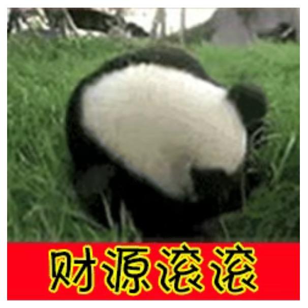 福满多宠物用品
