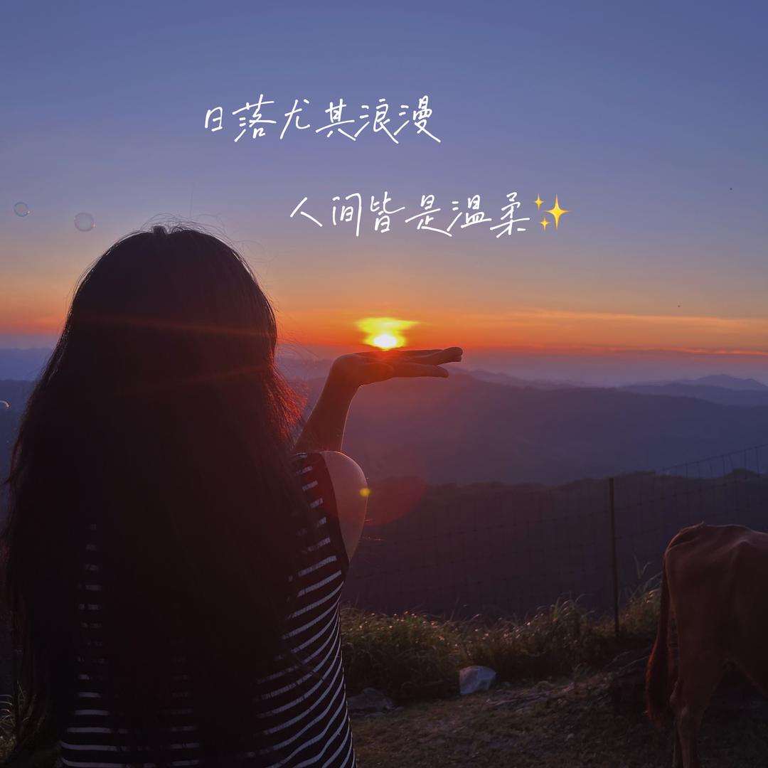 邵阳木地板梅子