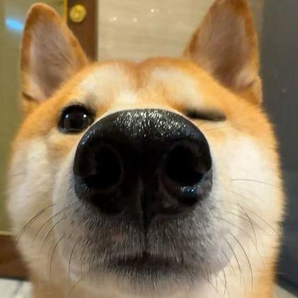 梅🫧