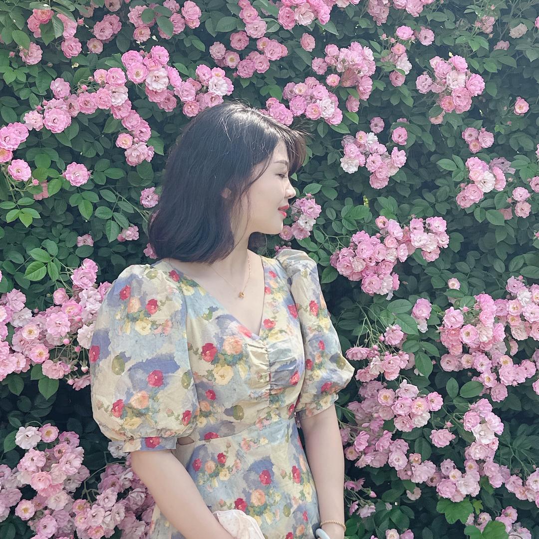 人生若只如初见、