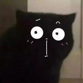 迪迦               _