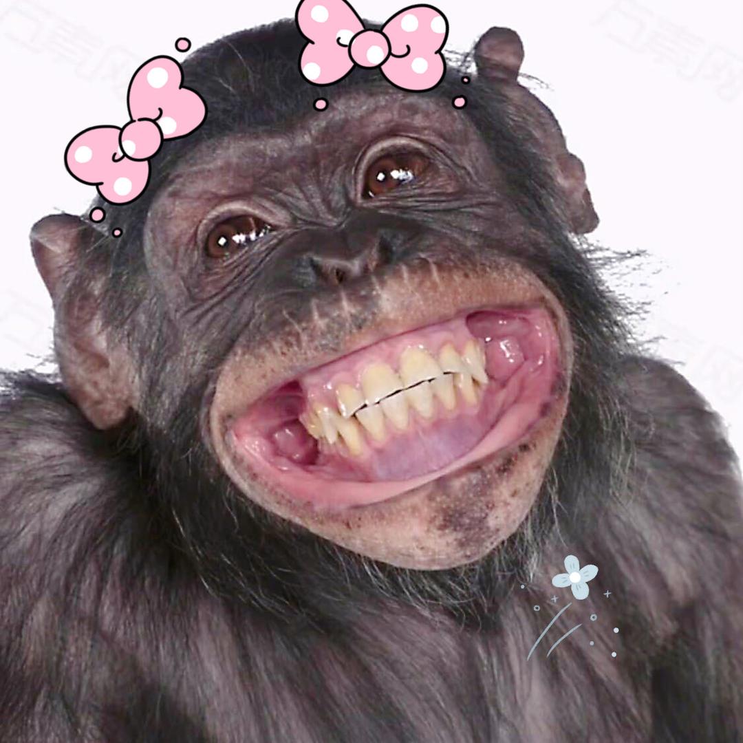 𝓕𝓵𝓸𝓻𝓲𝓪⭒