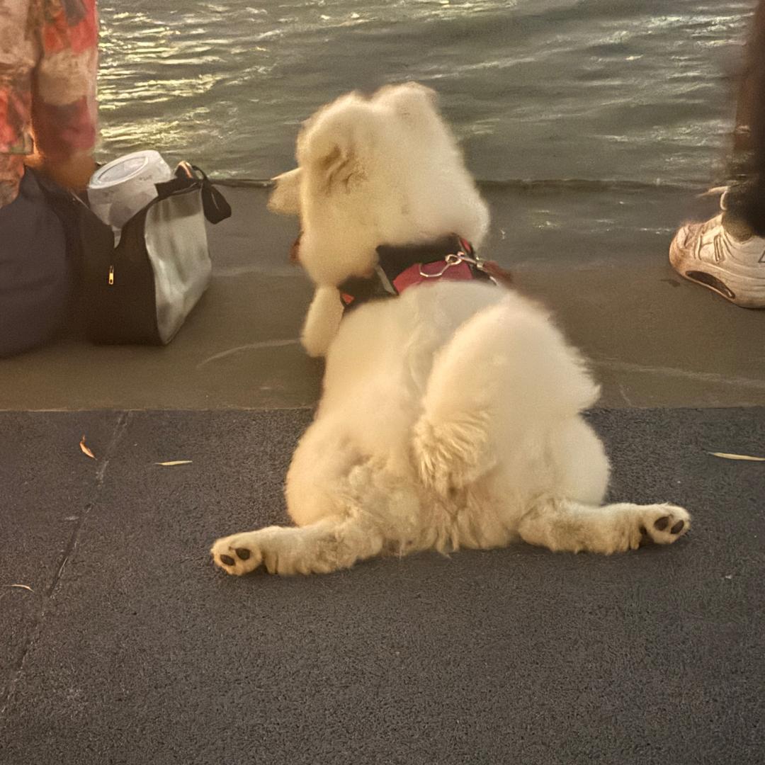 WaLnuG！