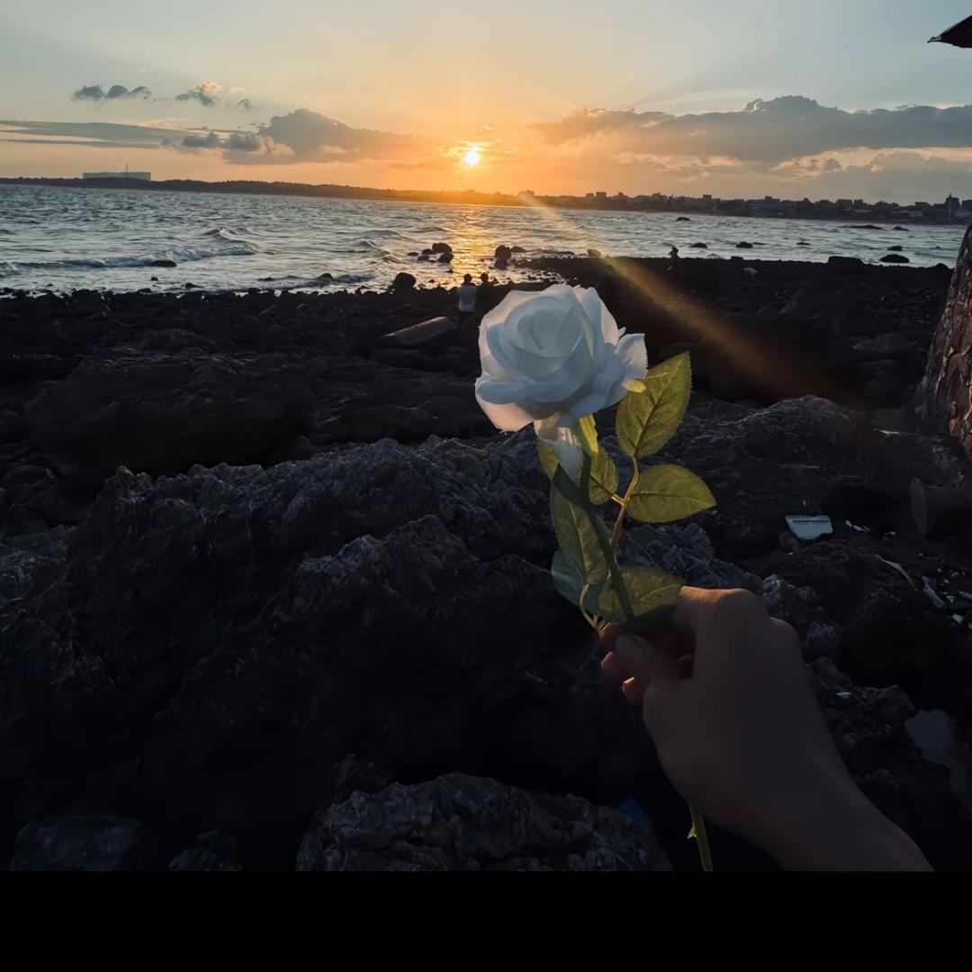 橘寄o