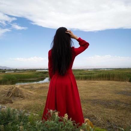 华绘养发甄选