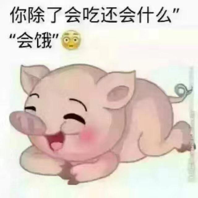 皮皮
