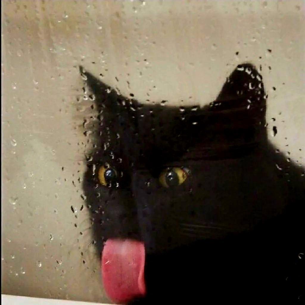 10%