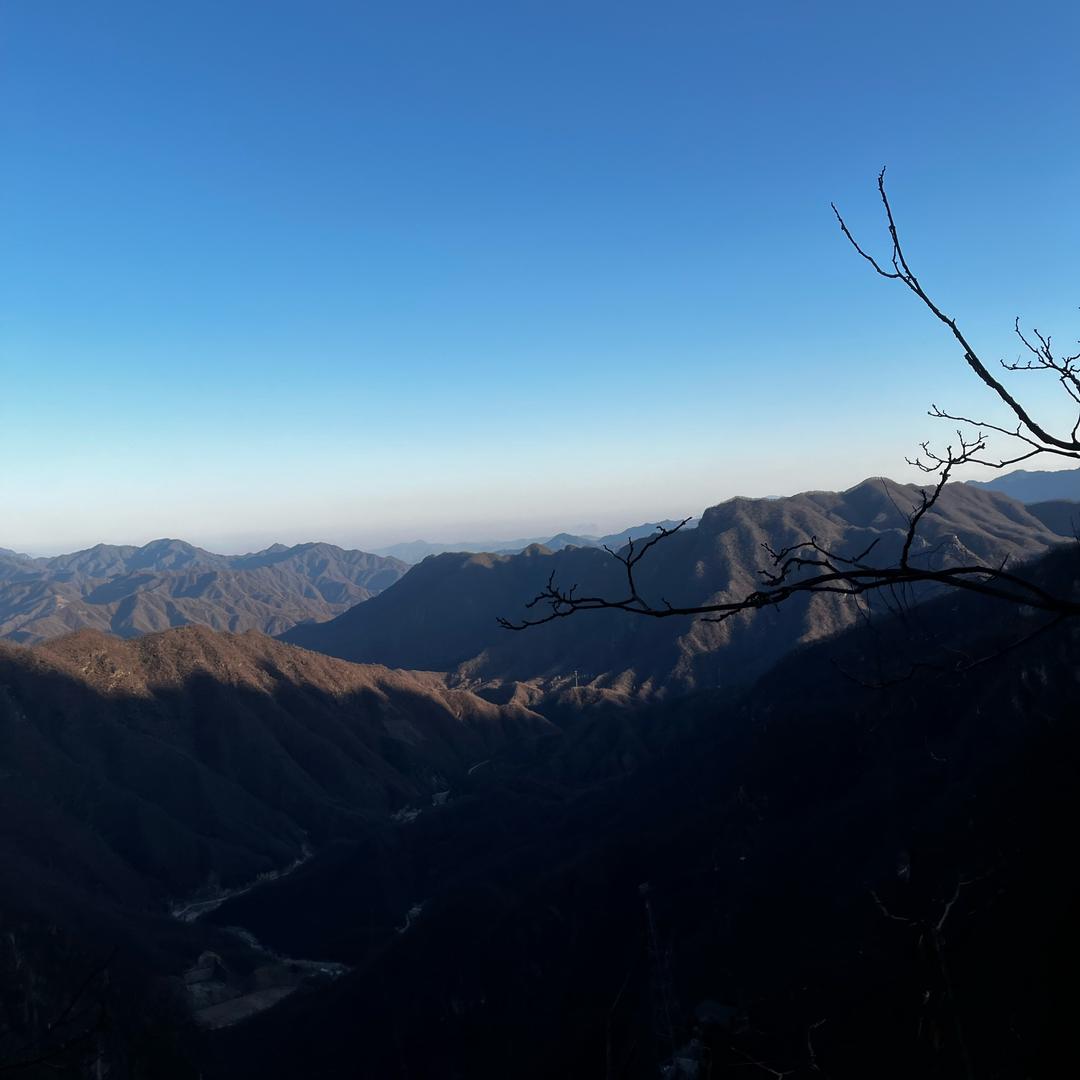 ✈铁锅只炖大鹅🦆