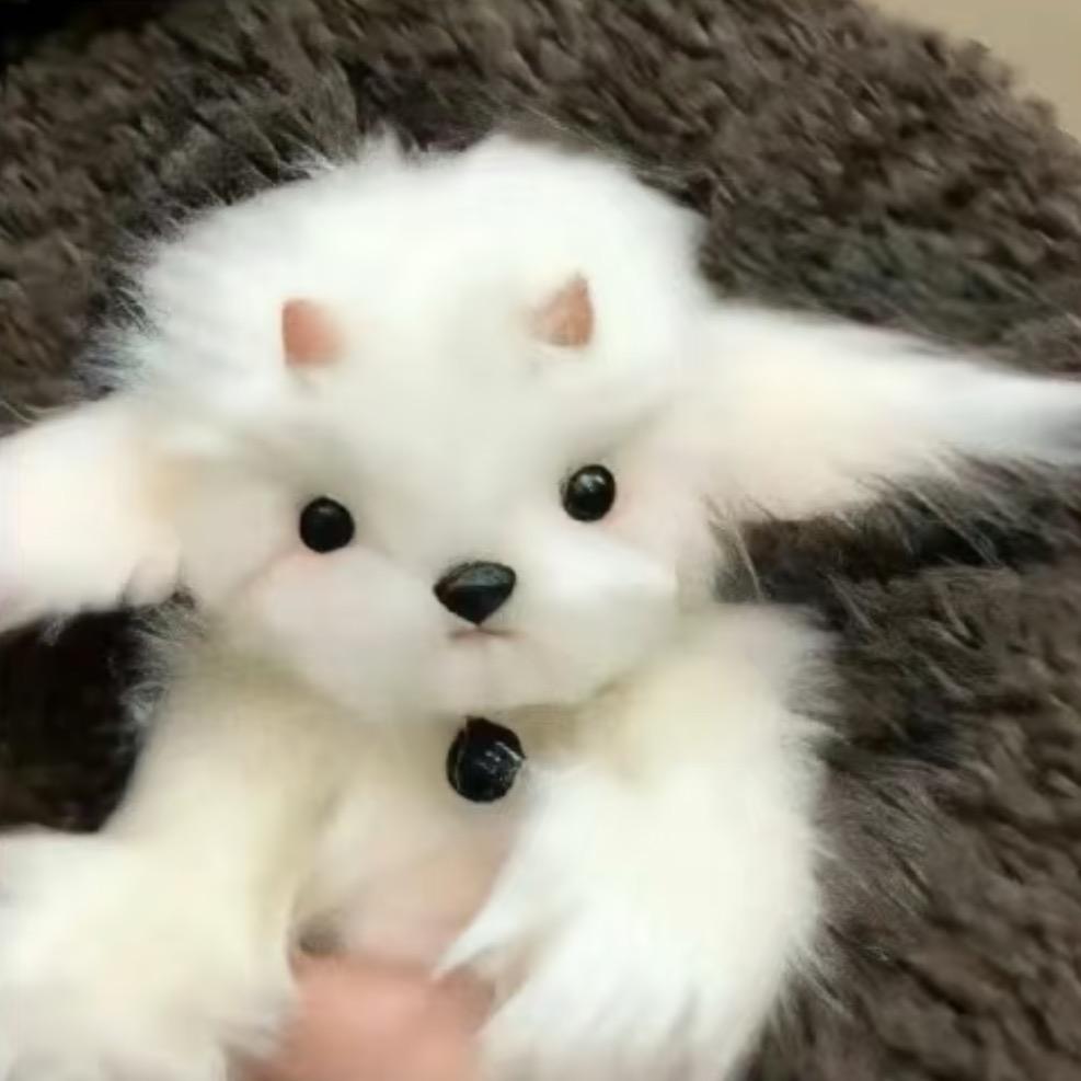 运气爆棚的土豆