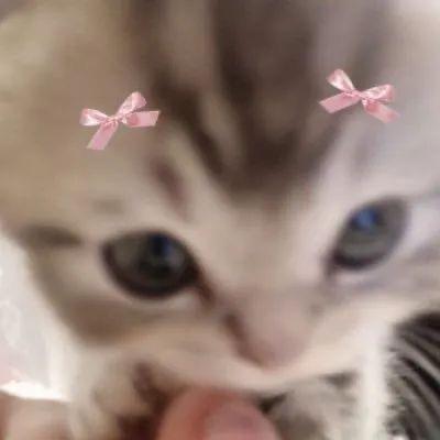三點水