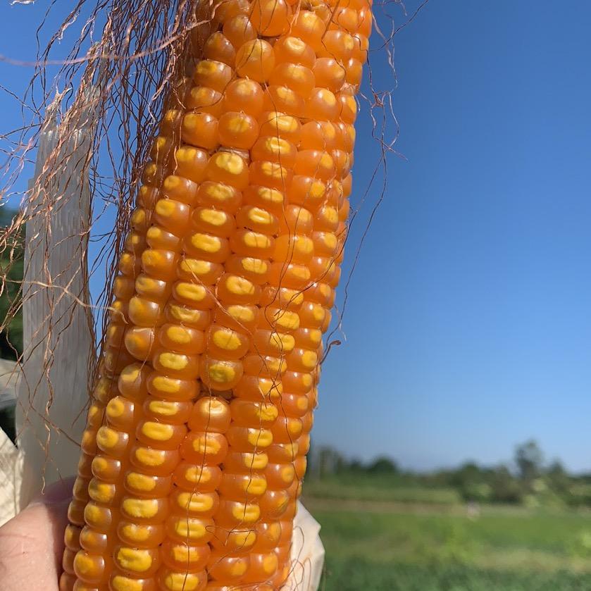 ”记录小时候的你“