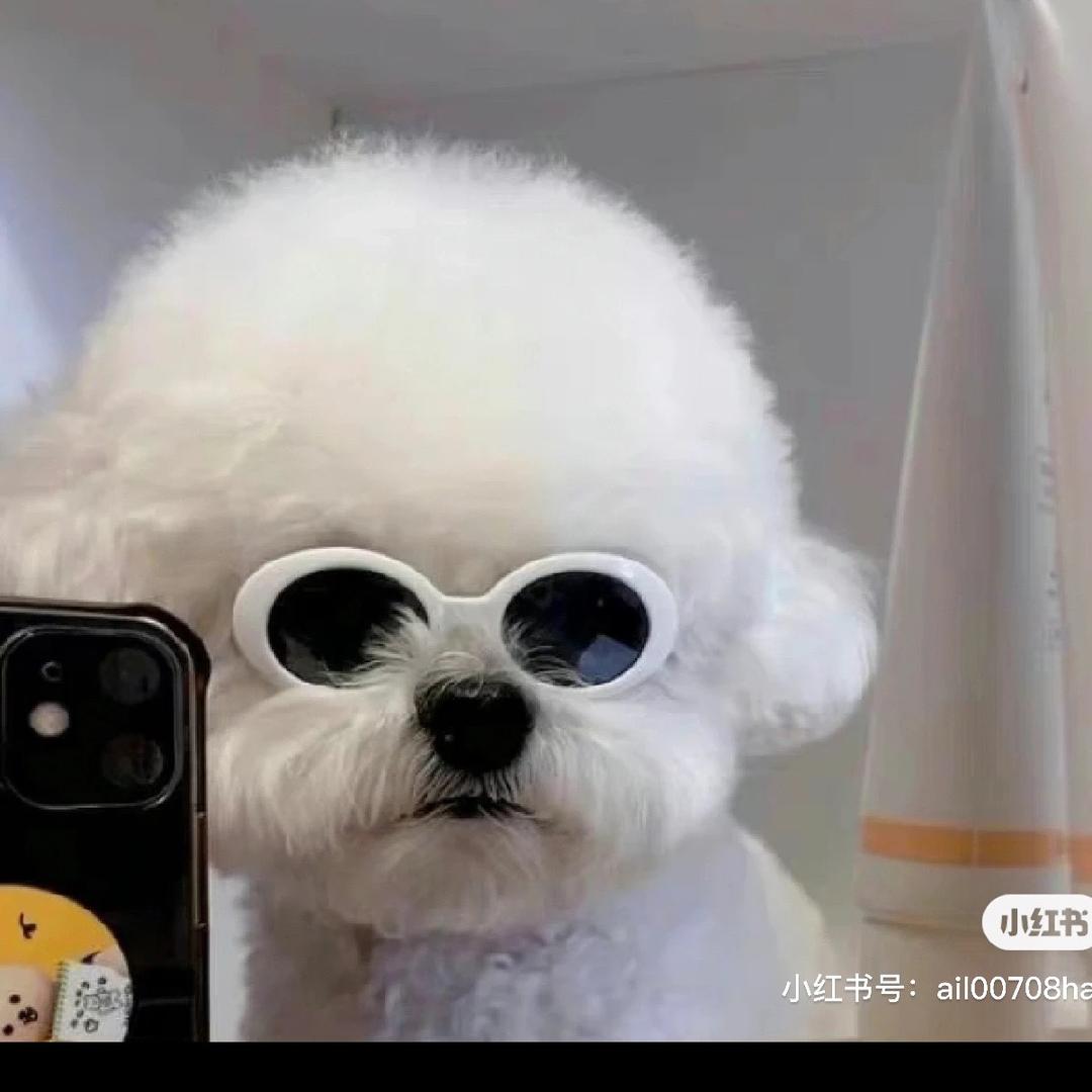 牧哥