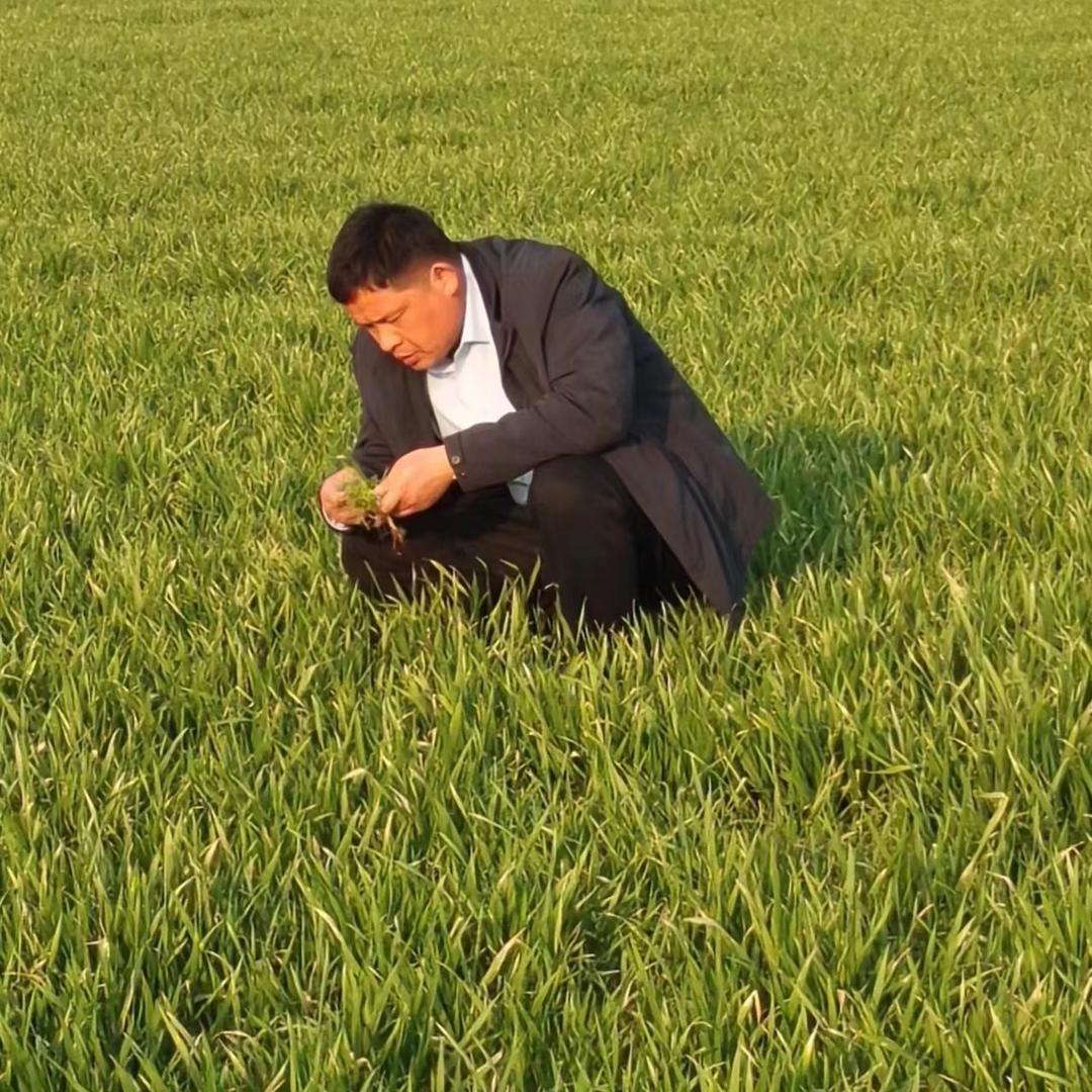温学涛