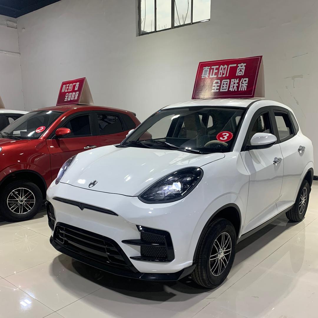 兰琴新能源电动车