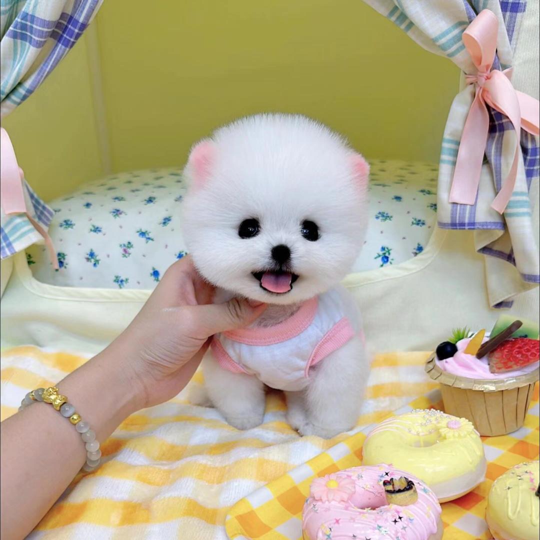 星星宝贝❤️❤️❤️