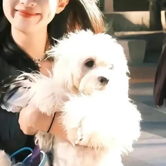 🌈给小熊梳毛-