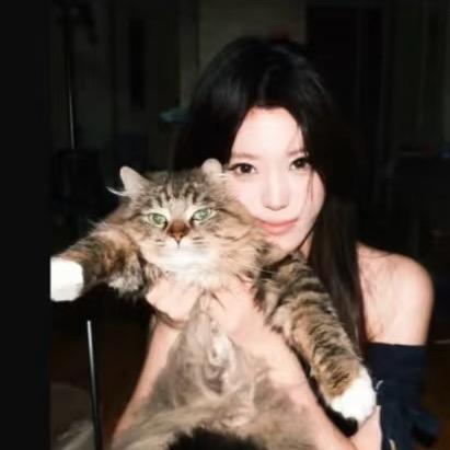 4livn小猫病