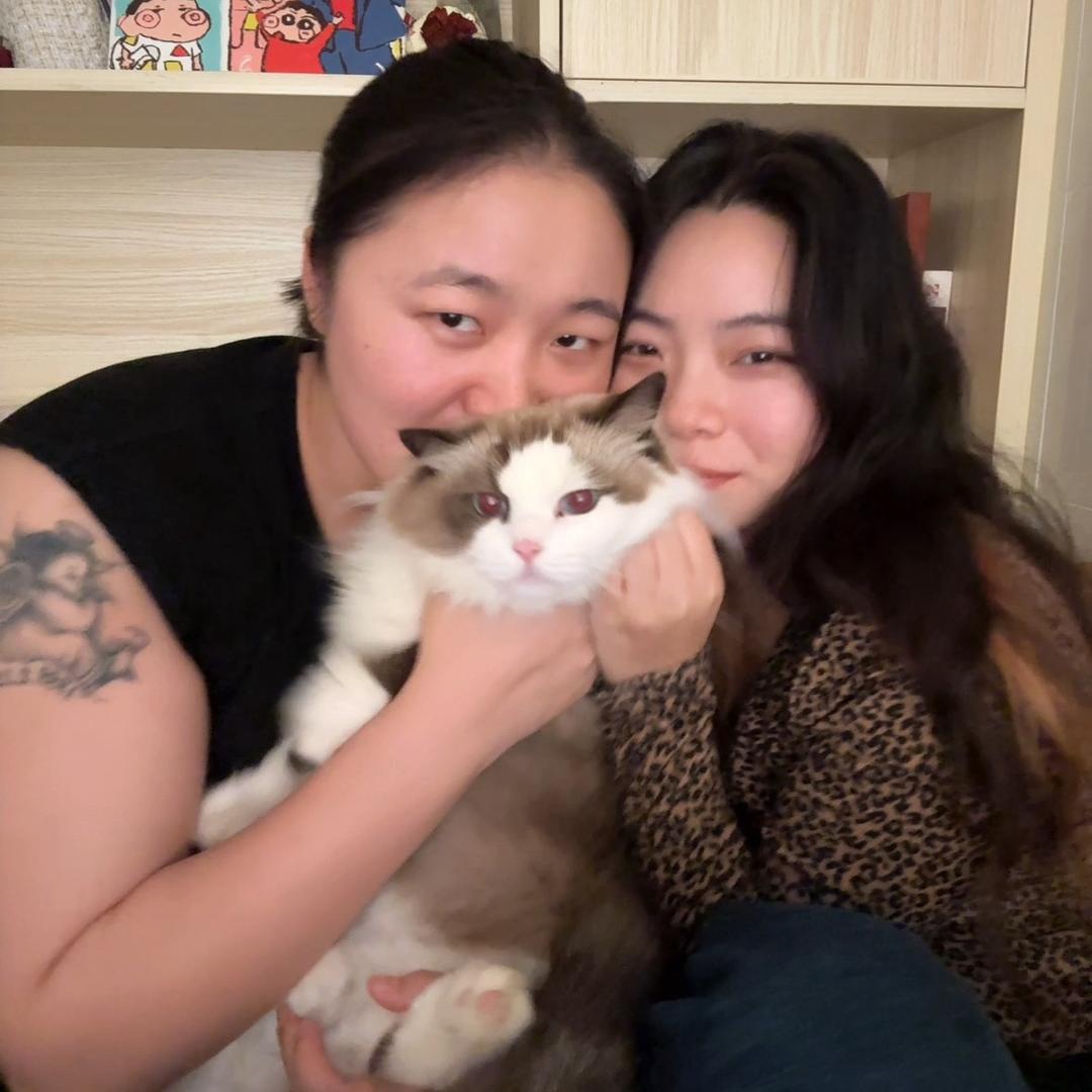 静静哇-