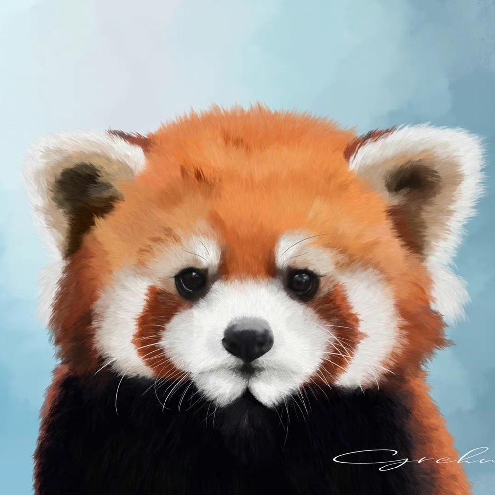 红熊猫🦁️