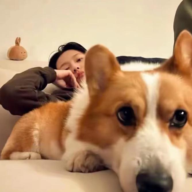 純情