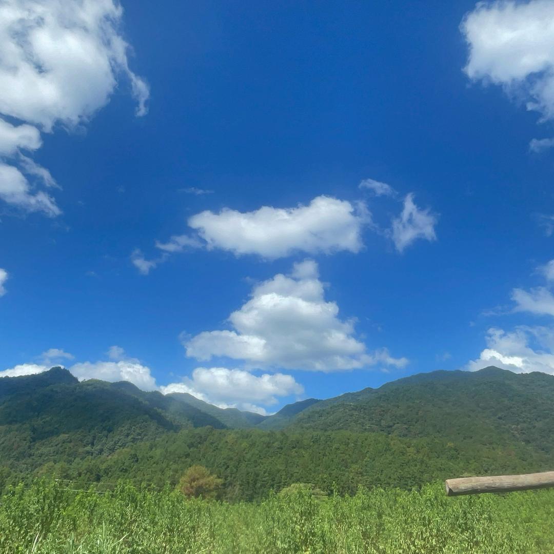乡村姐妹