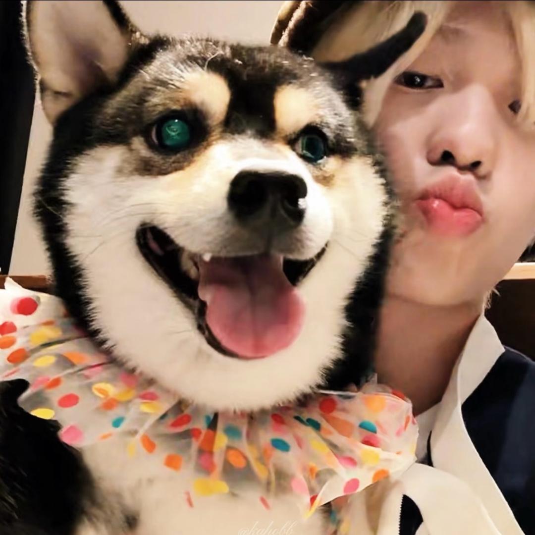 Ttynii