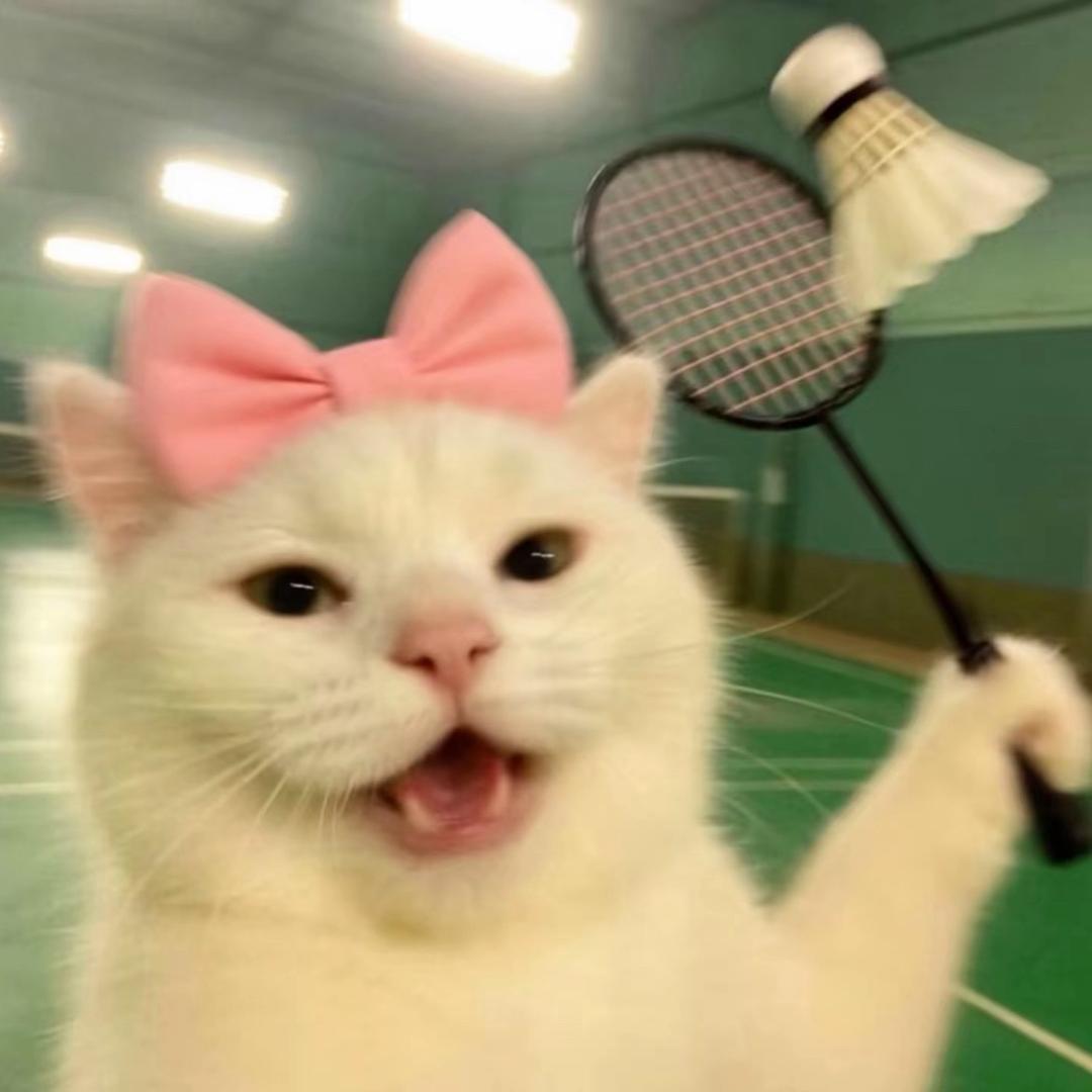 糯糯