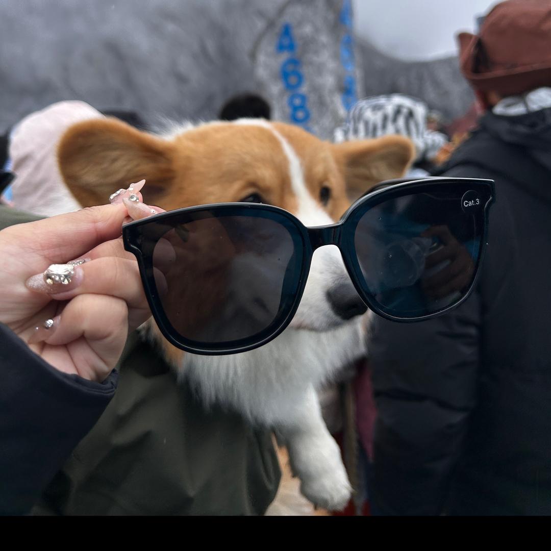 小作精 🧞‍♂️