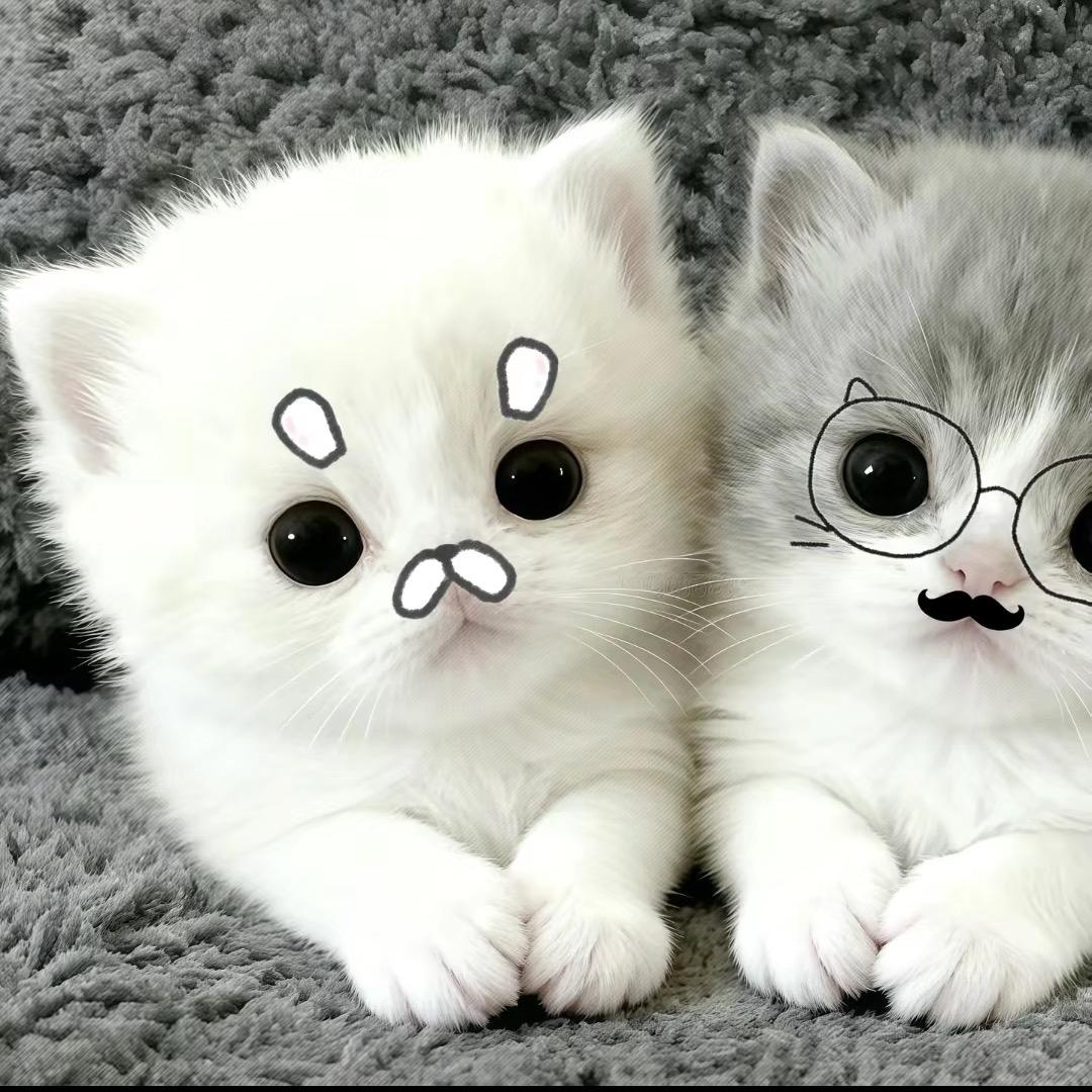 发现女友是女同含泪换上女装和她玩4i