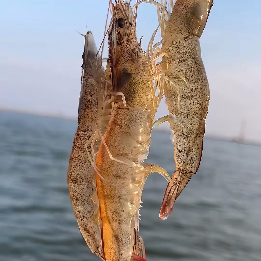 新疆惠民优选全疆店