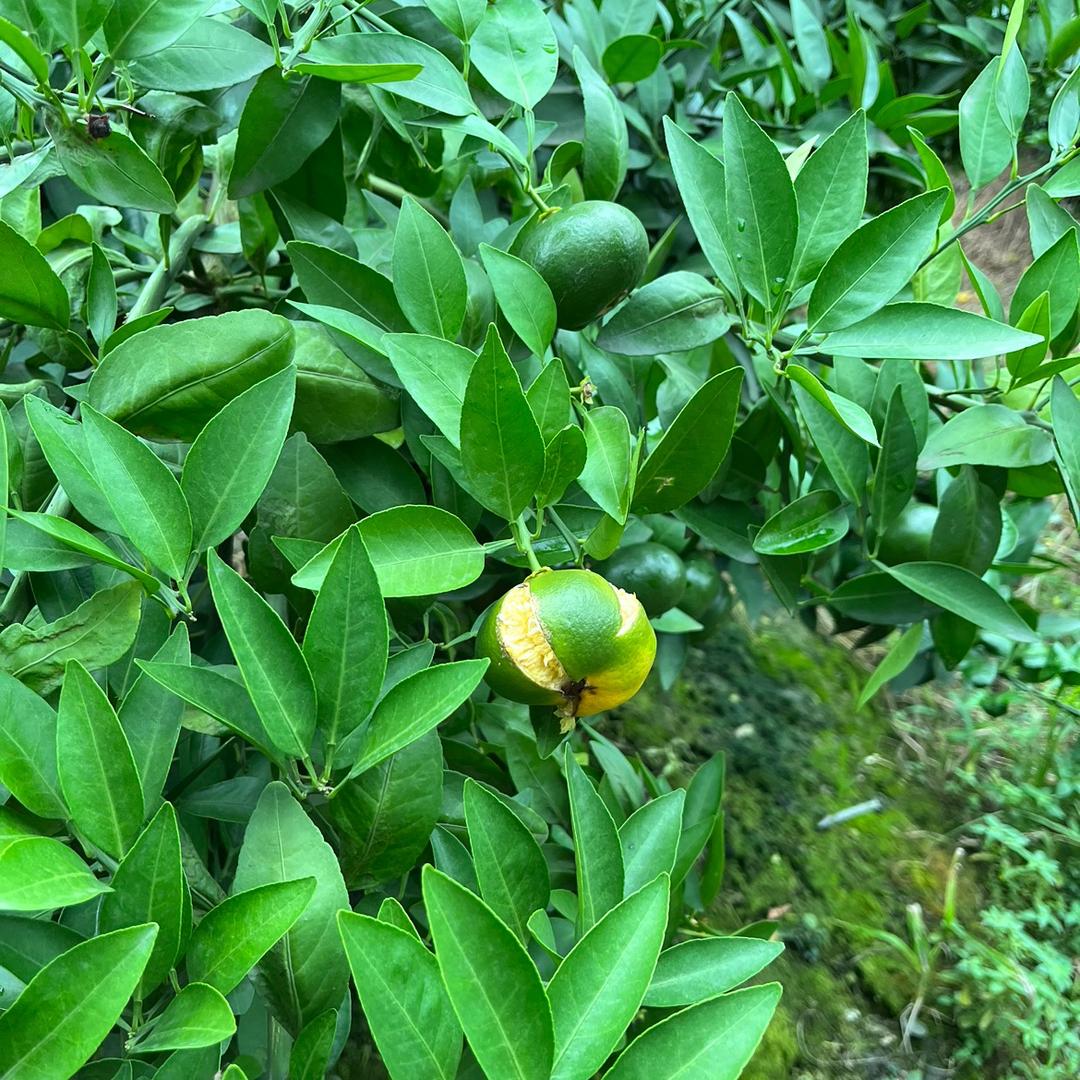 沧海一粟