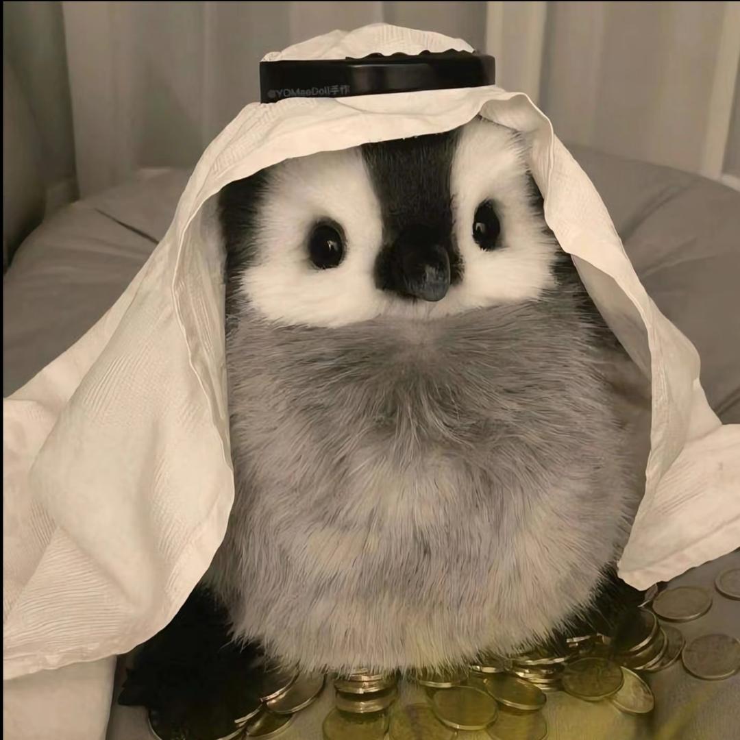 汐韵