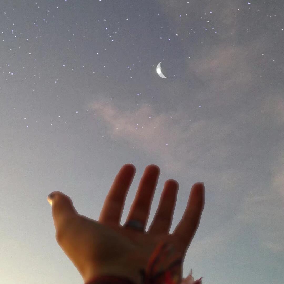 ╰破茧成蝶メ