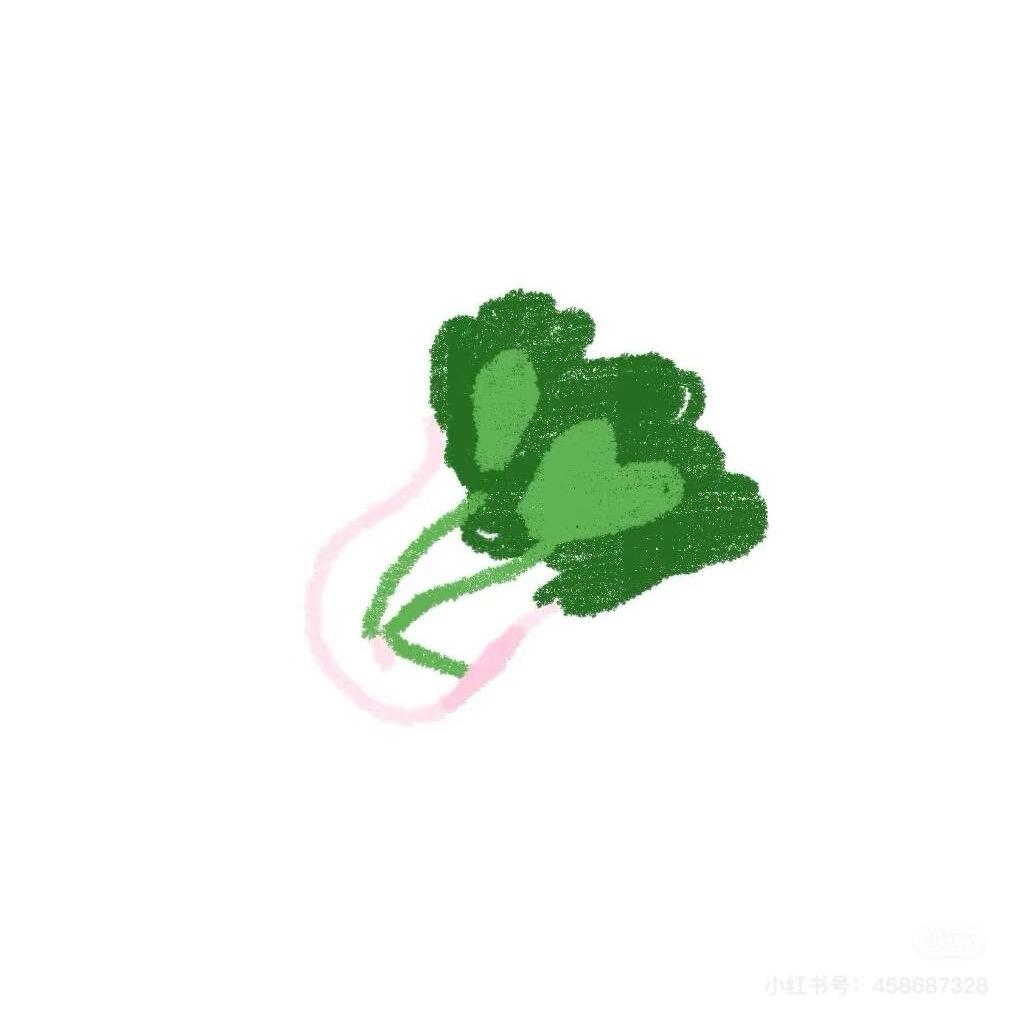 今晚炒鱿鱼🦑