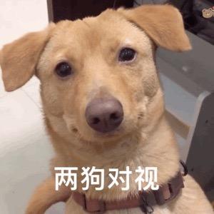 托尼