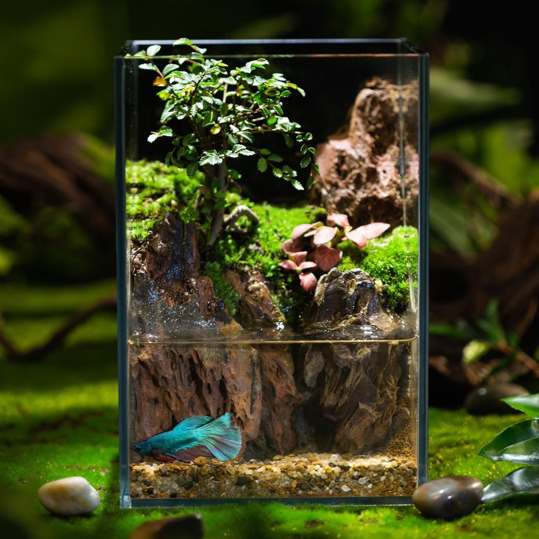 青苔上品景观设计