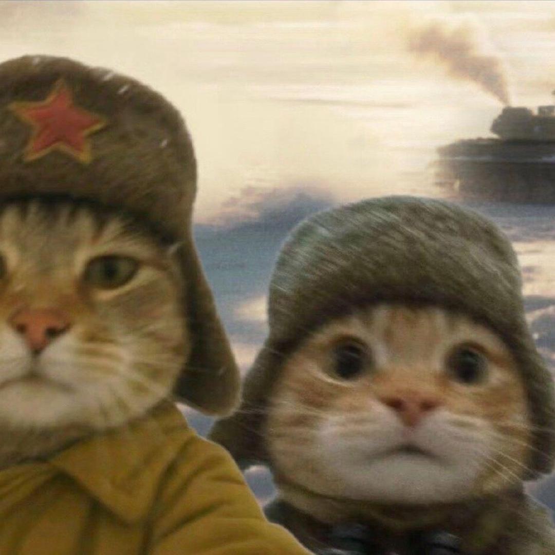 羊 羊૮꒰˶ฅ́˘ฅ̀˶꒱ა