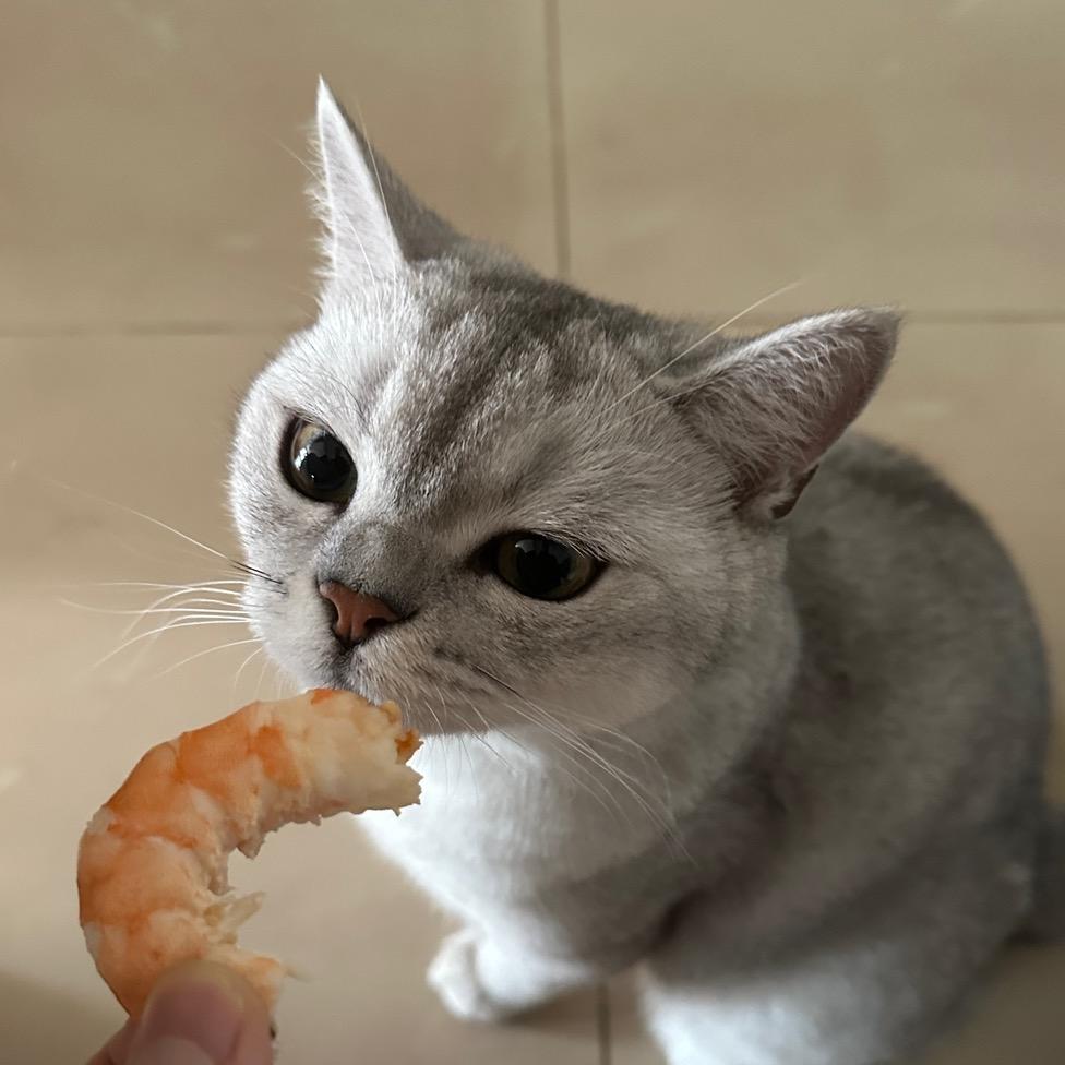 一毛的干饭日常