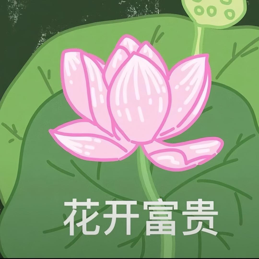 不晚睡小猫 𓈒 🐟